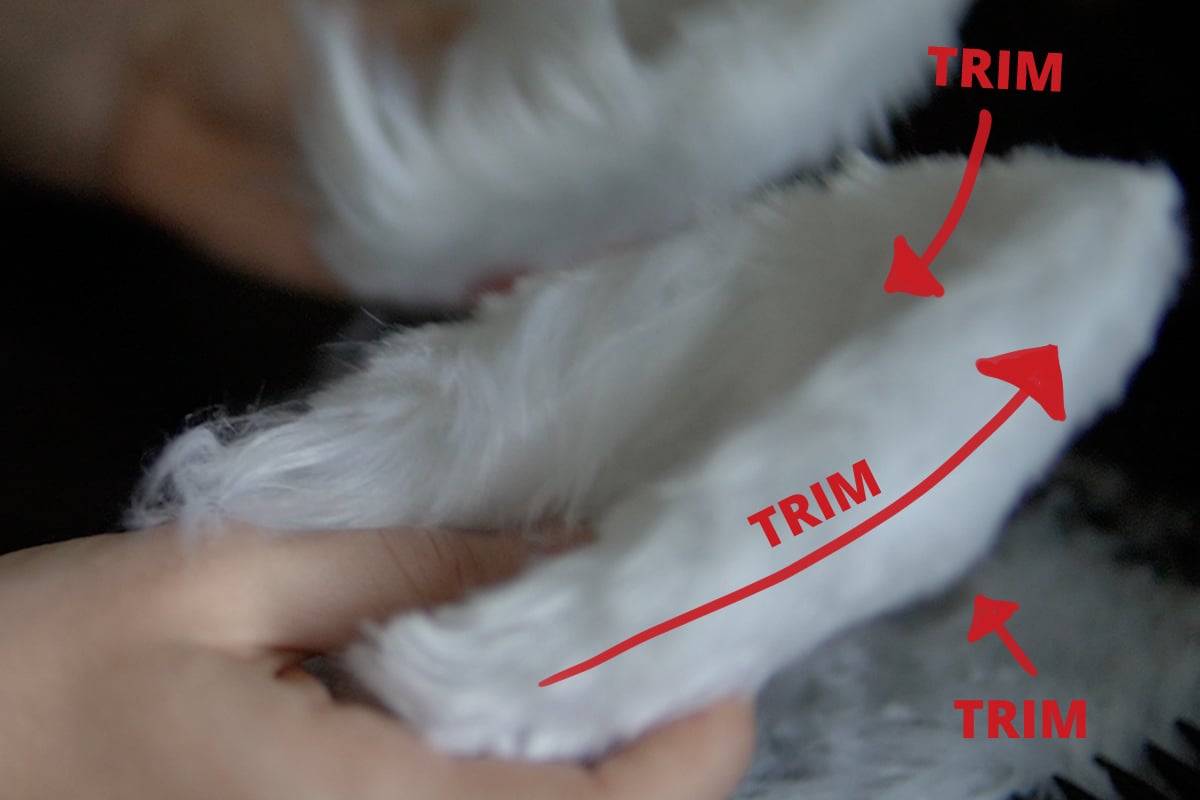How to Make (faux) Fur Animal Ears For Cosplay (a stepbystep guide)